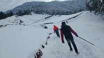 Nagtibba Trek (Dehradun to Dehradun)