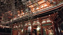 Tokyo 1-Day Private Tour/Customization & Hotel Gathering OK!