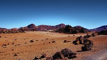 Private 8 hours Tour to El Teide from Tenerife Hotel with driver/guide