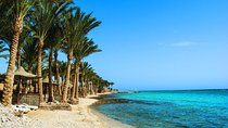 Snorkeling tour At Port Ghalib Marina from Marsa Alam