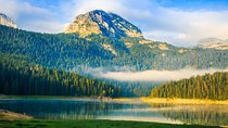 North of Montenegro Private Tour - Tara Canyon & National Parks