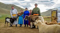 15 Days Western Oasis Mongolia