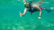 Basic Snorkel Experience In Cancun
