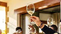 Bilbao Txakoli Wine Tour