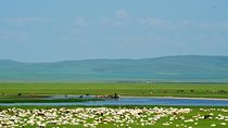 Treasures of Mongolia