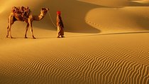 Abu Dhabi 4x4 Desert Safari BBQ Dinner , Camel Ride , Belly Dance