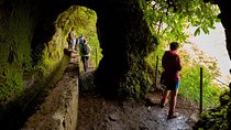 Walk Green Cauldron - Maze Forest