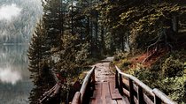 North Montenegro Tour:Žabljak - NP Durmitor - Black Lake - Đurđevića Tara Bridge