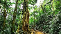 Cuc Phuong national park