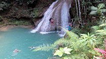 Island Gully Falls And Columbus Park Day Adventure