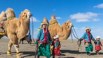 13 Days Ice and Camel Festival 2020