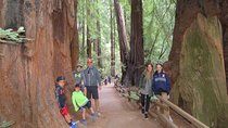 Best San Francisco, Muir Woods & Sausalito Private Combo Tour