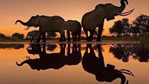 Private Day Trip to Ngorongoro Crater