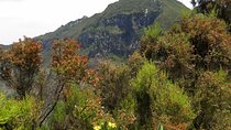1 Day Hike to Mount Longonot