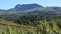 Scenic Day Trip to Aberdares National Park