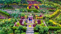 Cebu: Private Twin City Tour +Temple of Leah + Sirao Flower Farm