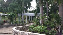 Explore Montego Bay Rose Hall Great House & Luminous LagoonTour