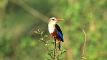3 Days Meru National Park 