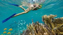 Puerto Morelos Reef Snorkeling Tour with Lunch & Hotel Pickup