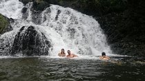 Private Embera village Eco-Cultural Tour, jungle waterfall, and nature hiking 