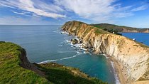  Discover Point Reyes National Seashore & Muir Woods Redwoods