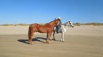 Horseback Ride on the Beach & Alcatraz Tour in San Francisco 