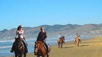 Private Redwoods Tour & Beach Horseback Riding Experience from San Francisco