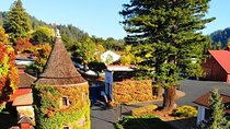 Private Russian River Valley Wine Country Day Trip from San Francisco