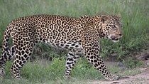 04 Nights 05 Days Camping Safari