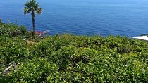 Naples port tour Sorrento and pompeii and overview of positano 