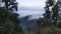Phulchowki Hiking