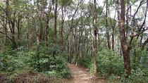 Nagarjun Day Hiking