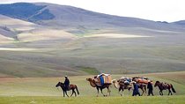 2 Days Przewalski's horses (takhi) and Genuine Nomadic Heritage