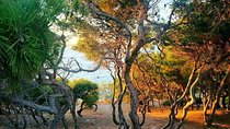Andromeda Experiences: VIP Sunset Photo Walk Golden Hour of Paros