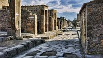 Private Day trip from Rome to Pompeii with official guide inside Ruins 