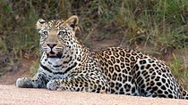 20 Days Combined East African Adventure Safari