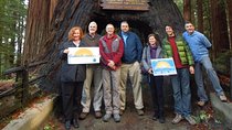 Redwood National Park Tour 3-Day Private Tour Package Hotel Included 