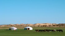 3 Days Three different natural zone and Ancient capital city