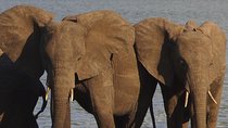10 Days Beauty of Namibia | Guided Camping
