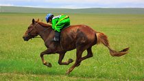 Naadam Festival Tour — 2 Days (11-12 July 2025)
