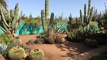 Ourika & Anima Art Garden & Safran Garden Tour