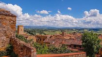 Private 8 hours Tour to Siena and San Gimignano from Florence