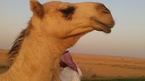 Small group adventure tour Kingdom of Saudi Arabia German tour guide
