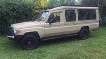 Bush Safaris and Airport transfers