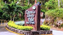 Montego Bay to Dunn's River Small Group Tour
