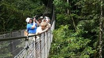 Private Transfer From Liberia Airport To Arenal La Fortuna