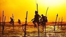 Southern Sri Lanka Sightseeing Private Day Trip