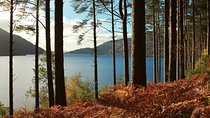 Loch Lomond & Whisky Tour from Glasgow Including Admissions
