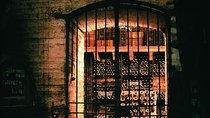Premium Wine Tour in Viña Cousiño Macul Spanish official