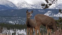 Lower Valley Tour RMNP